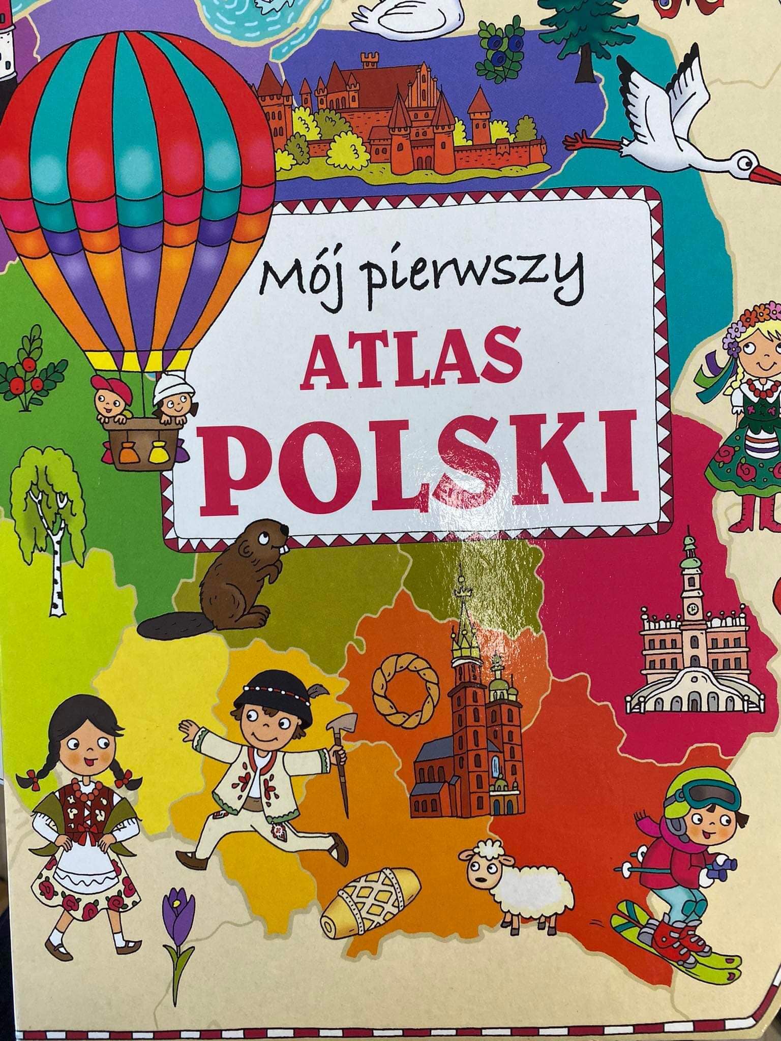 347120551_784964076548779_874421297026647349_n