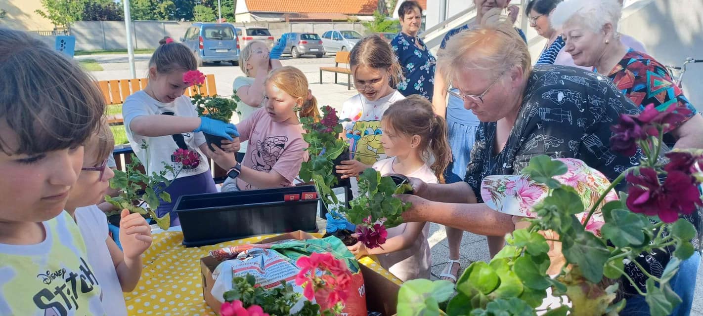 351223320_483738830586503_445232061586239948_n