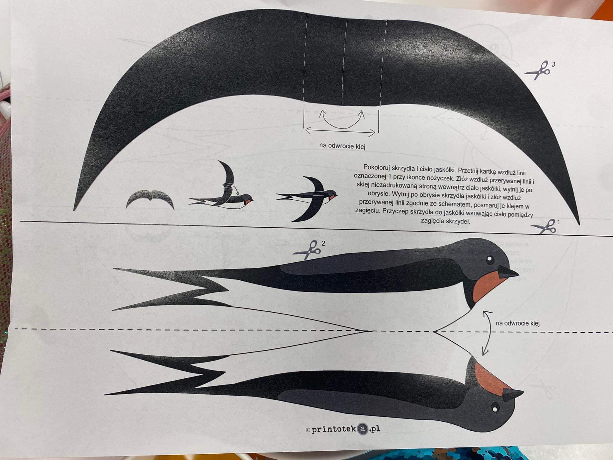 336791571_198562972904550_5513473774676207652_n